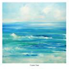 Surf College Bundle